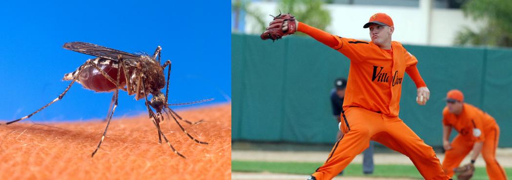 Pelota VS  Aedes